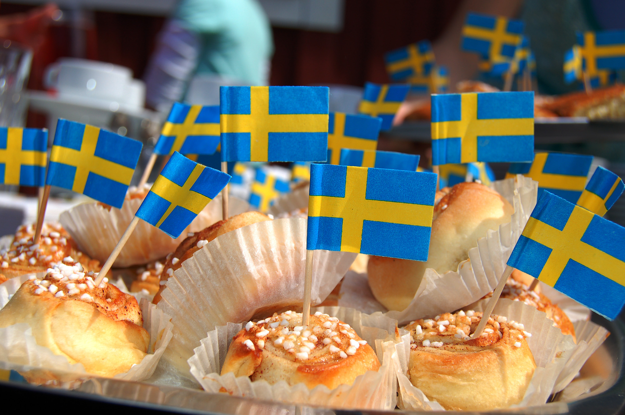 Röste.nu – Röstebilder – Nationaldagsfirande vid Dönjegården 2008