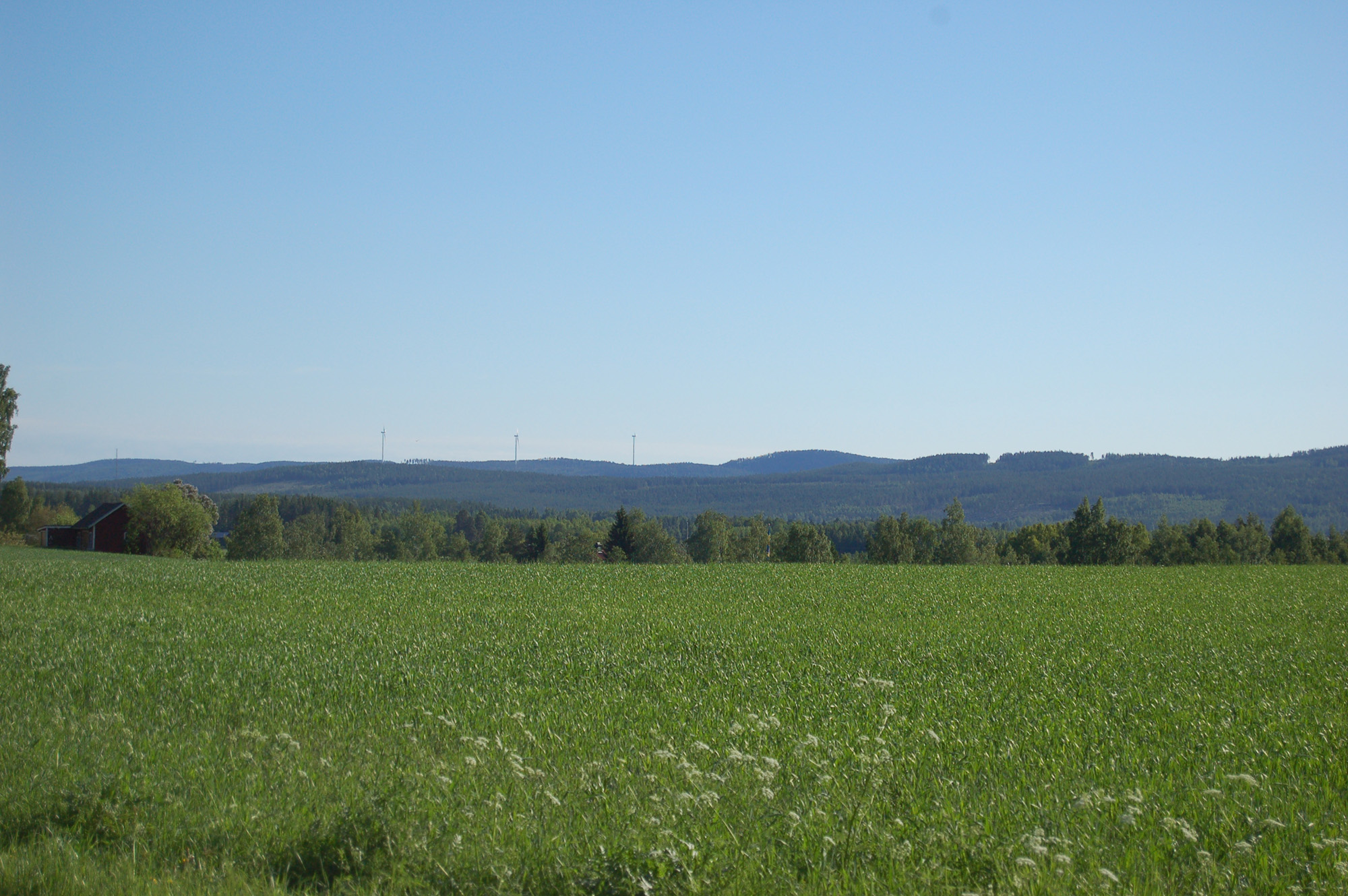 Röste.nu – Röstebilder – Så firades nationaldagen i Röste 2011