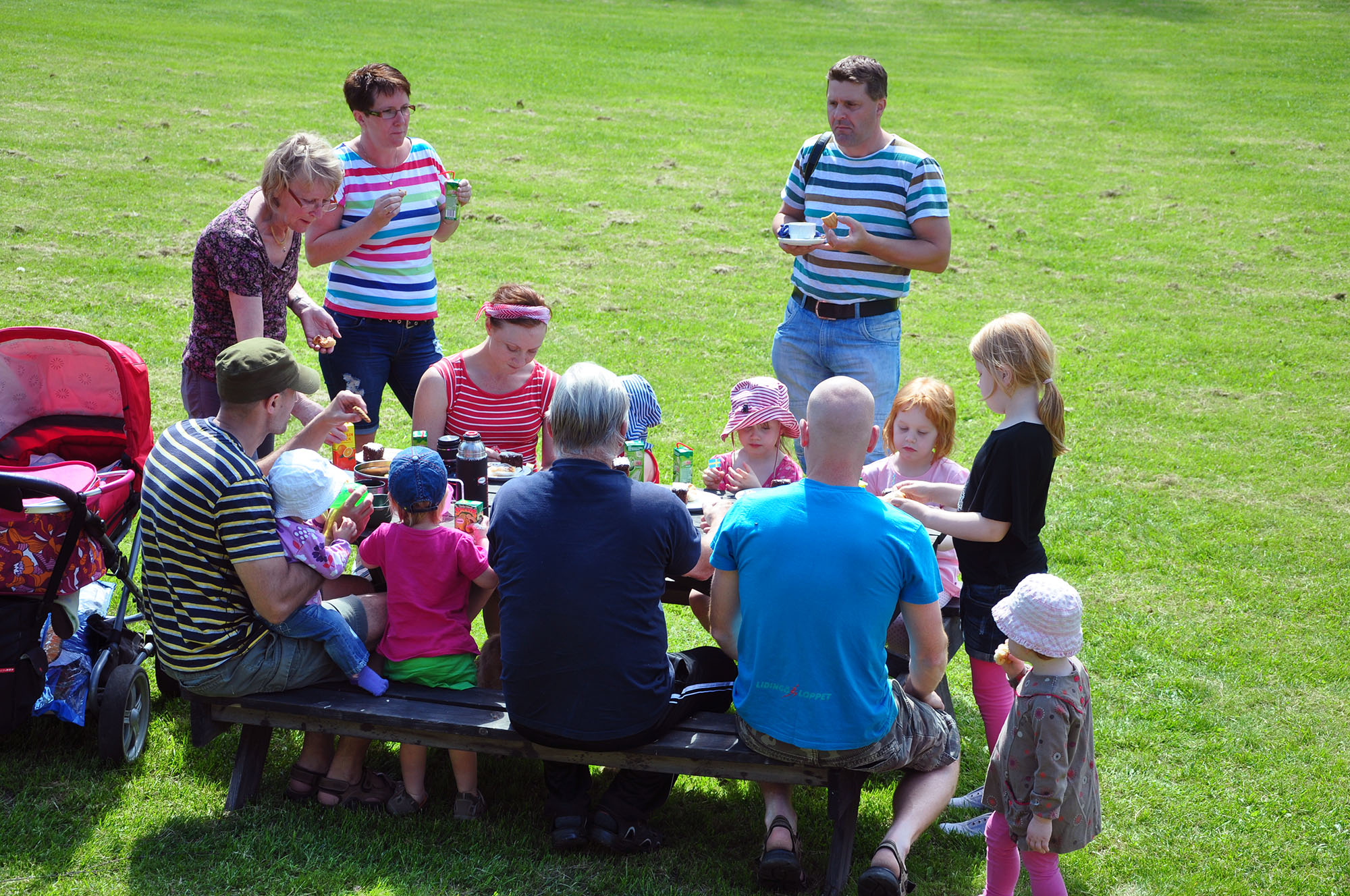 Röste.nu – Röstebilder – Nationaldagsfirande vid Dönjegården 2013