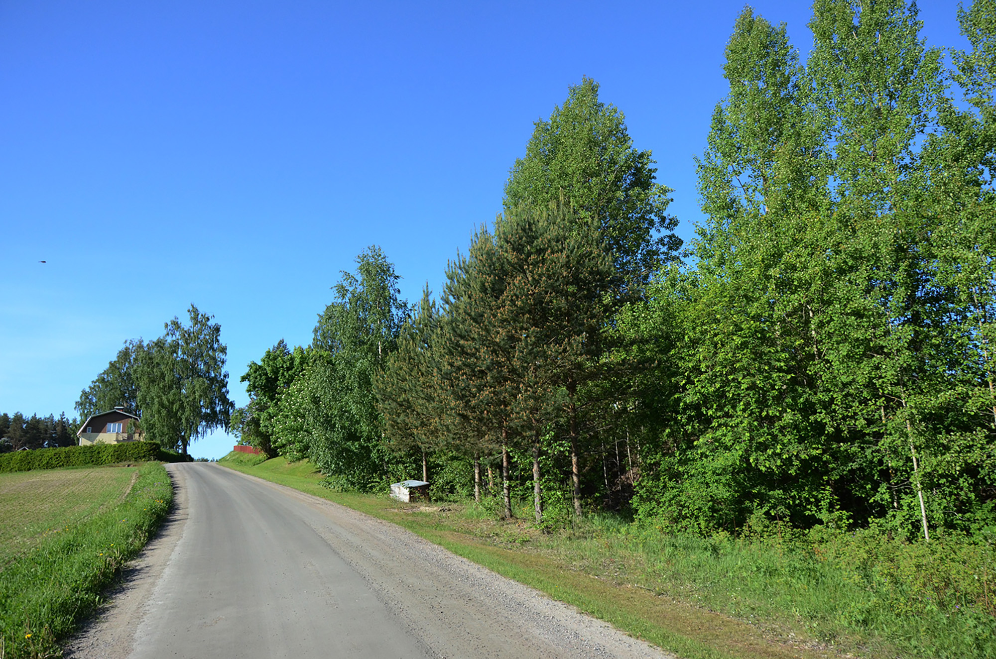 Röste.nu – Röstebilder – Nationaldagsfirande vid Dönjegården 2016