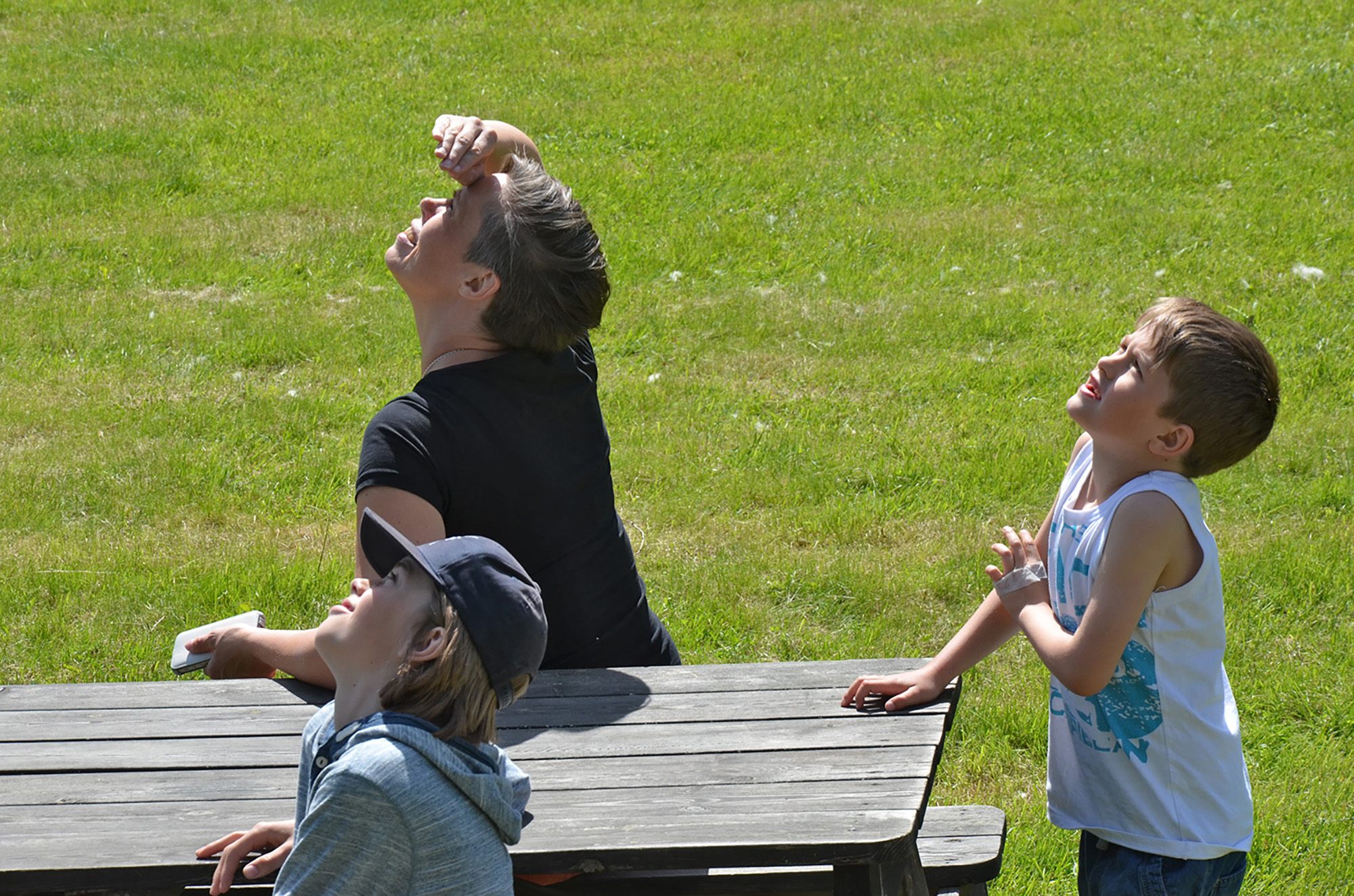 Röste.nu – Röstebilder – Nationaldagsfirande vid Dönjegården 2016