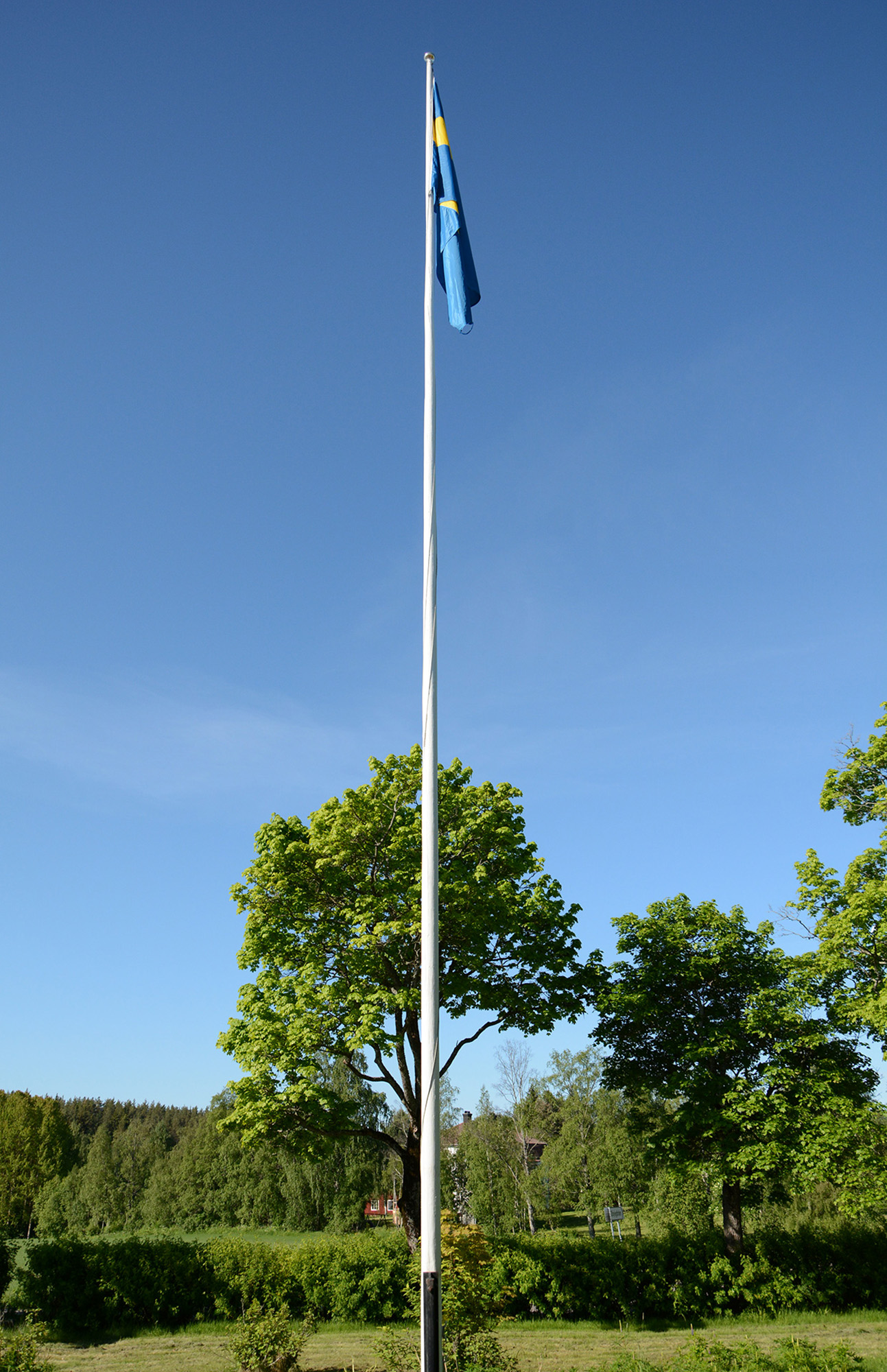 Röste.nu – Röstebilder – Nationaldagsfirande vid Dönjegården 2016