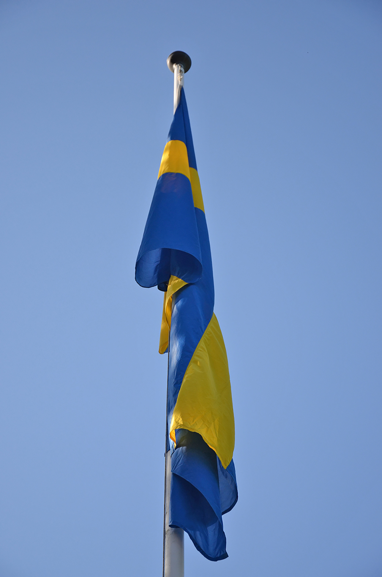 Röste.nu – Röstebilder – Nationaldagsfirande vid Dönjegården 2016