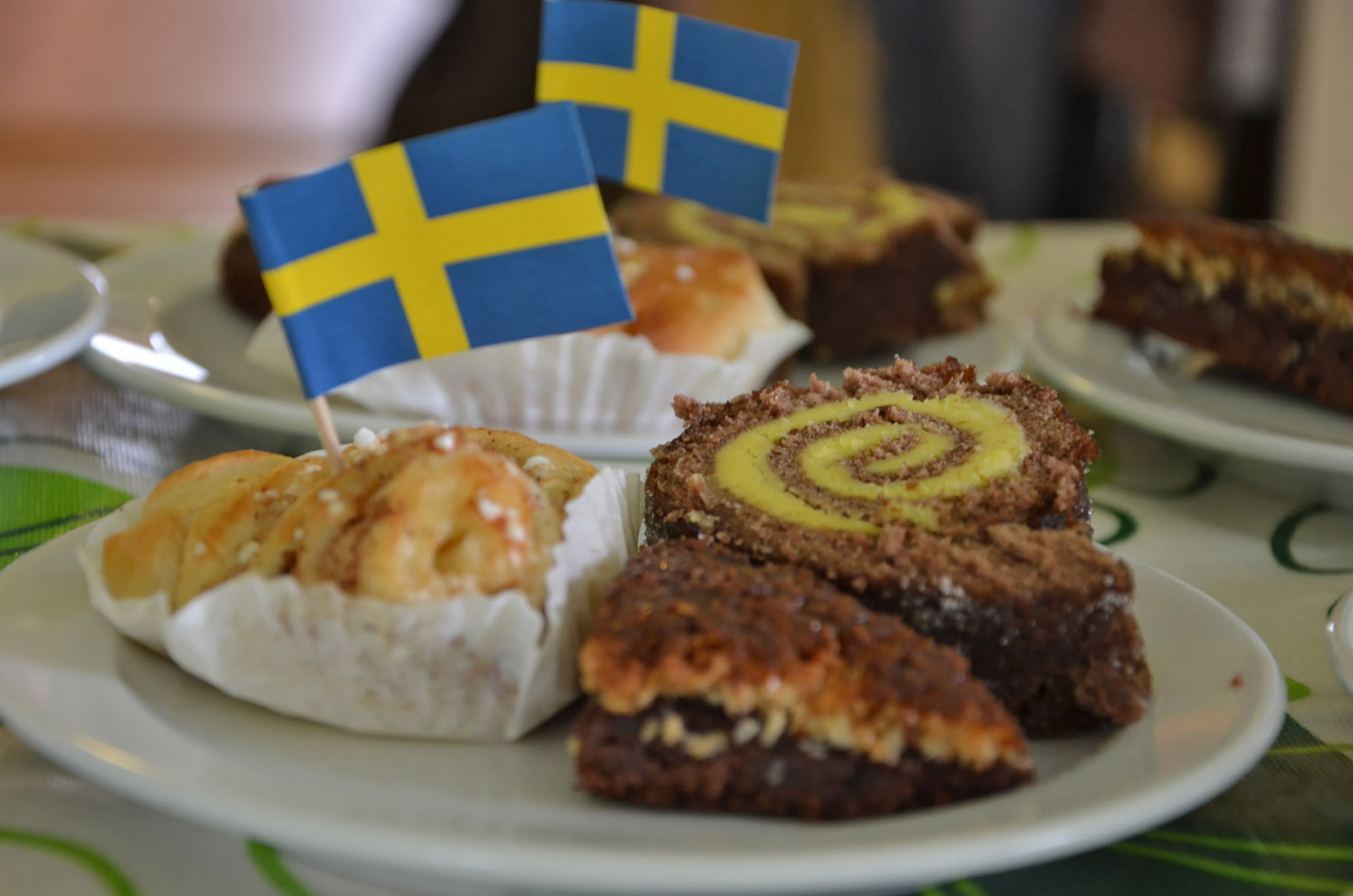 Röste.nu – Röstebilder – Nationaldagsfirande vid Dönjegården 2017