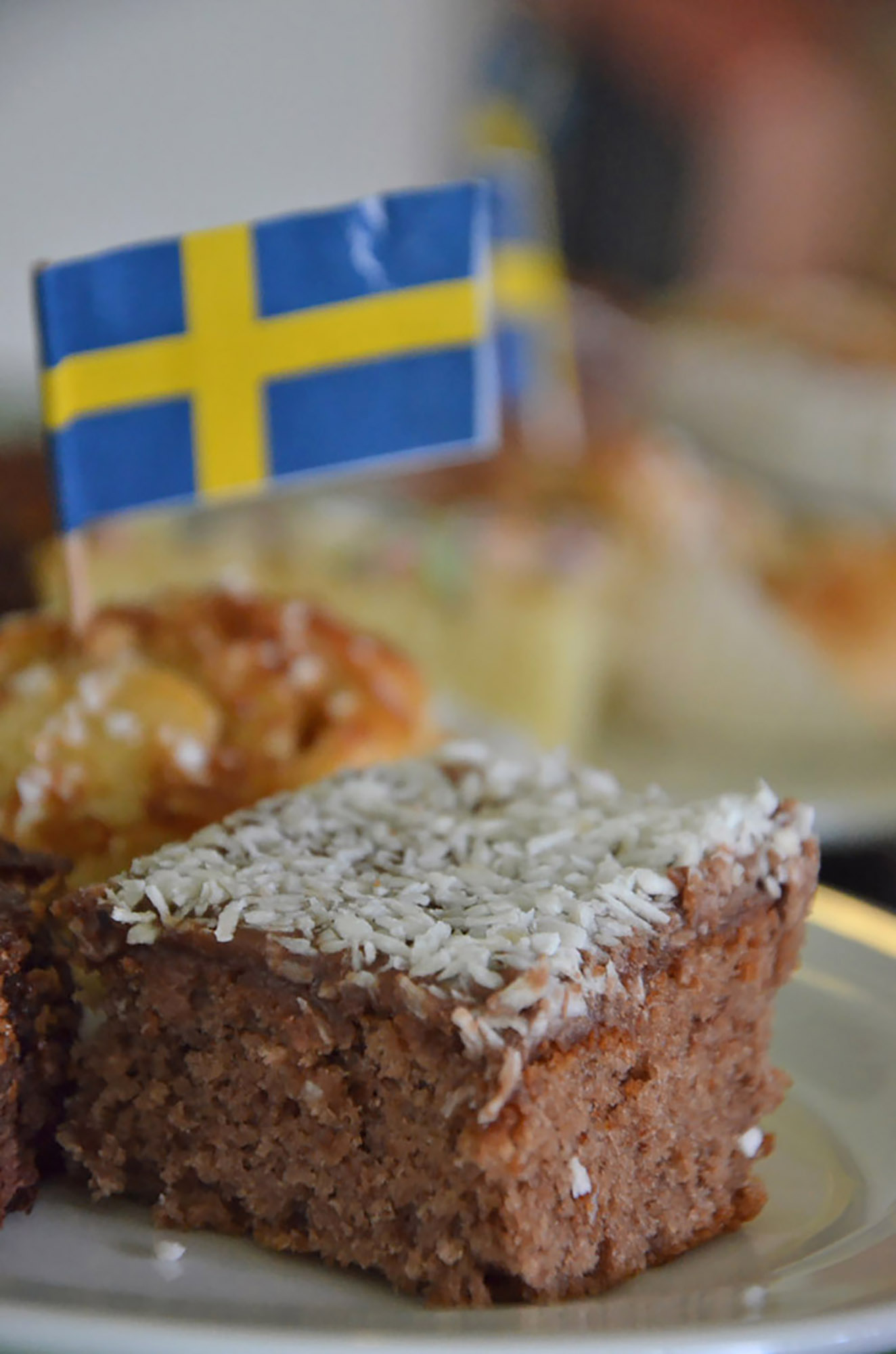 Röste.nu – Röstebilder – Nationaldagsfirande vid Dönjegården 2017