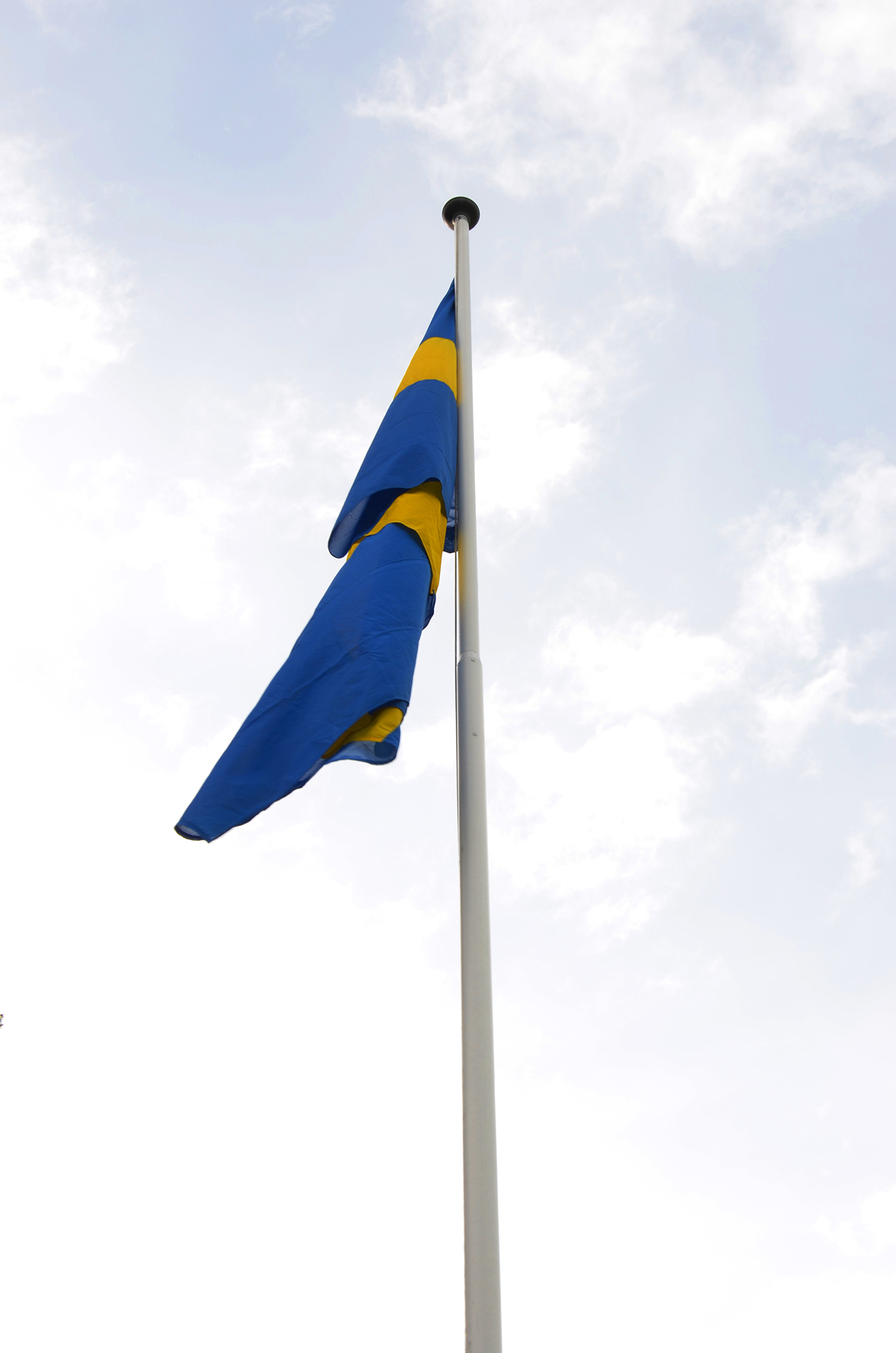 Röste.nu – Röstebilder – Nationaldagsfirande vid Dönjegården 2018
