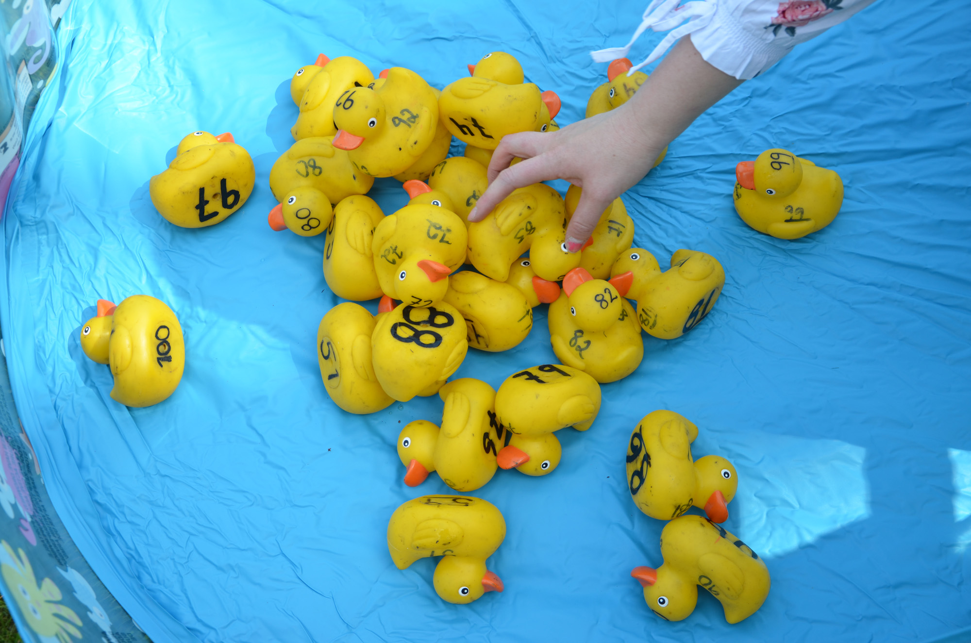 Röste.nu – Röstebilder – Nationaldagsfirande vid Dönjegården 2019