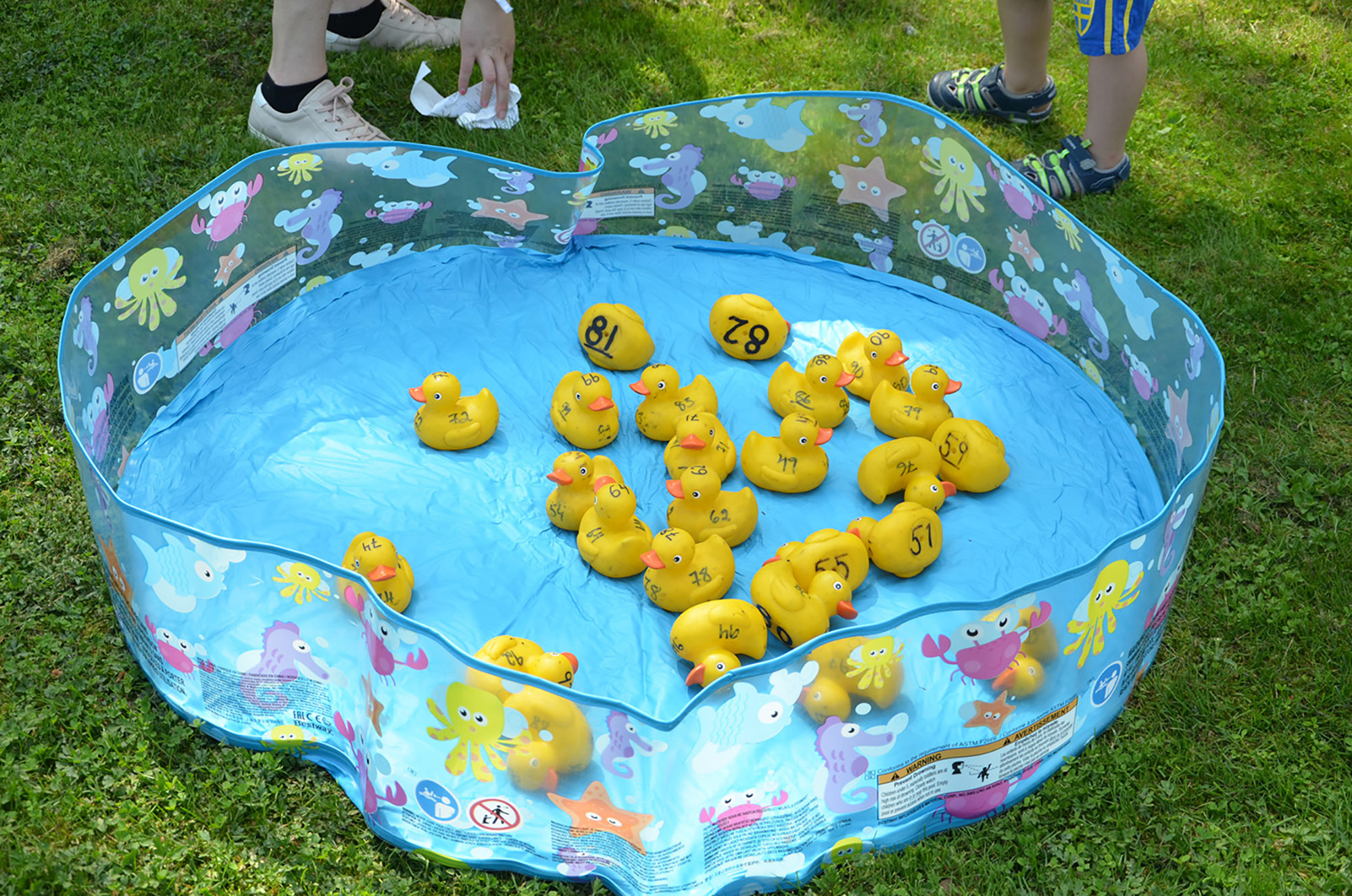 Röste.nu – Röstebilder – Nationaldagsfirande vid Dönjegården 2019