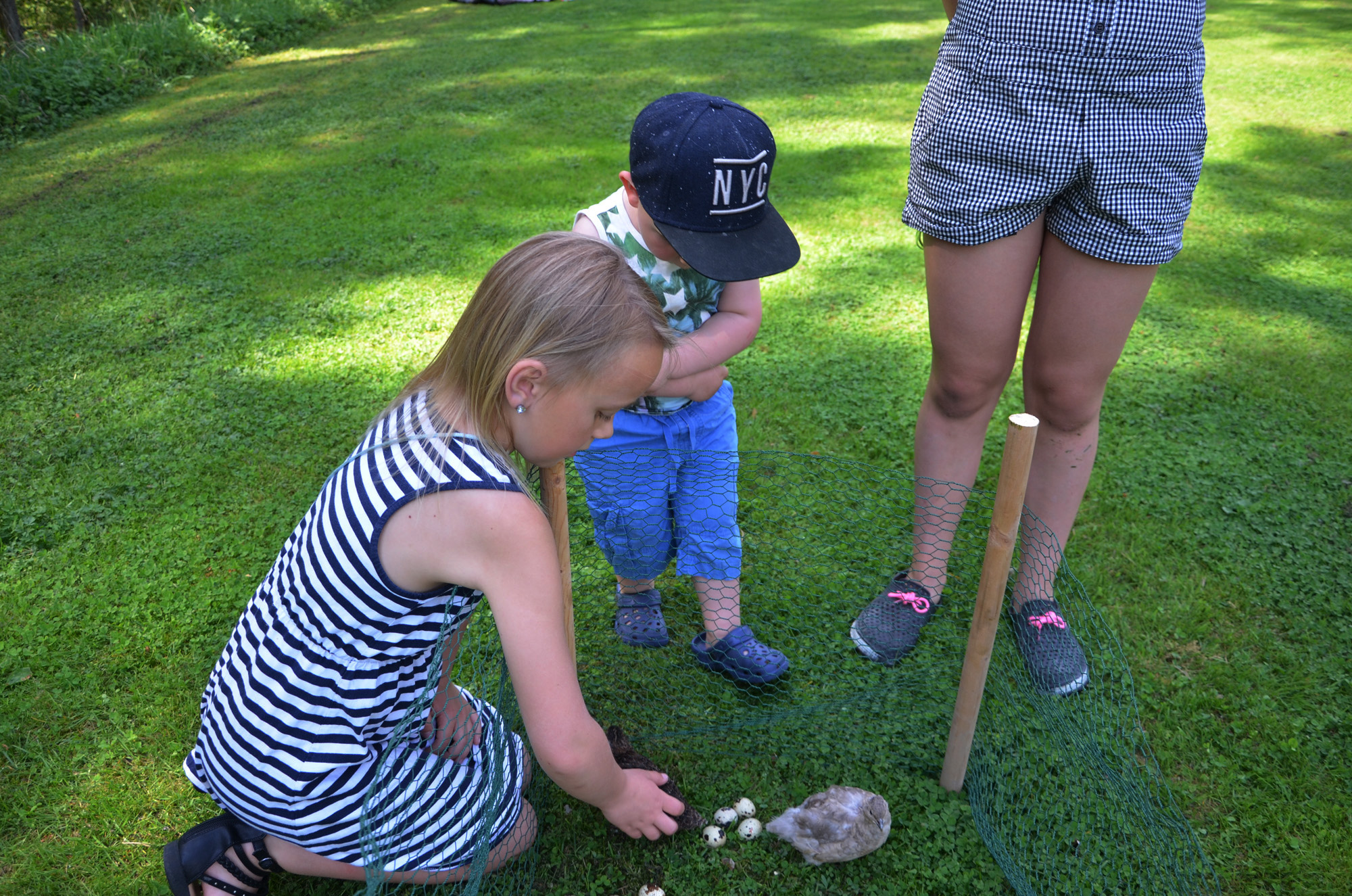 Röste.nu – Röstebilder –Nationaldagsfirande vid Dönjegården 2019