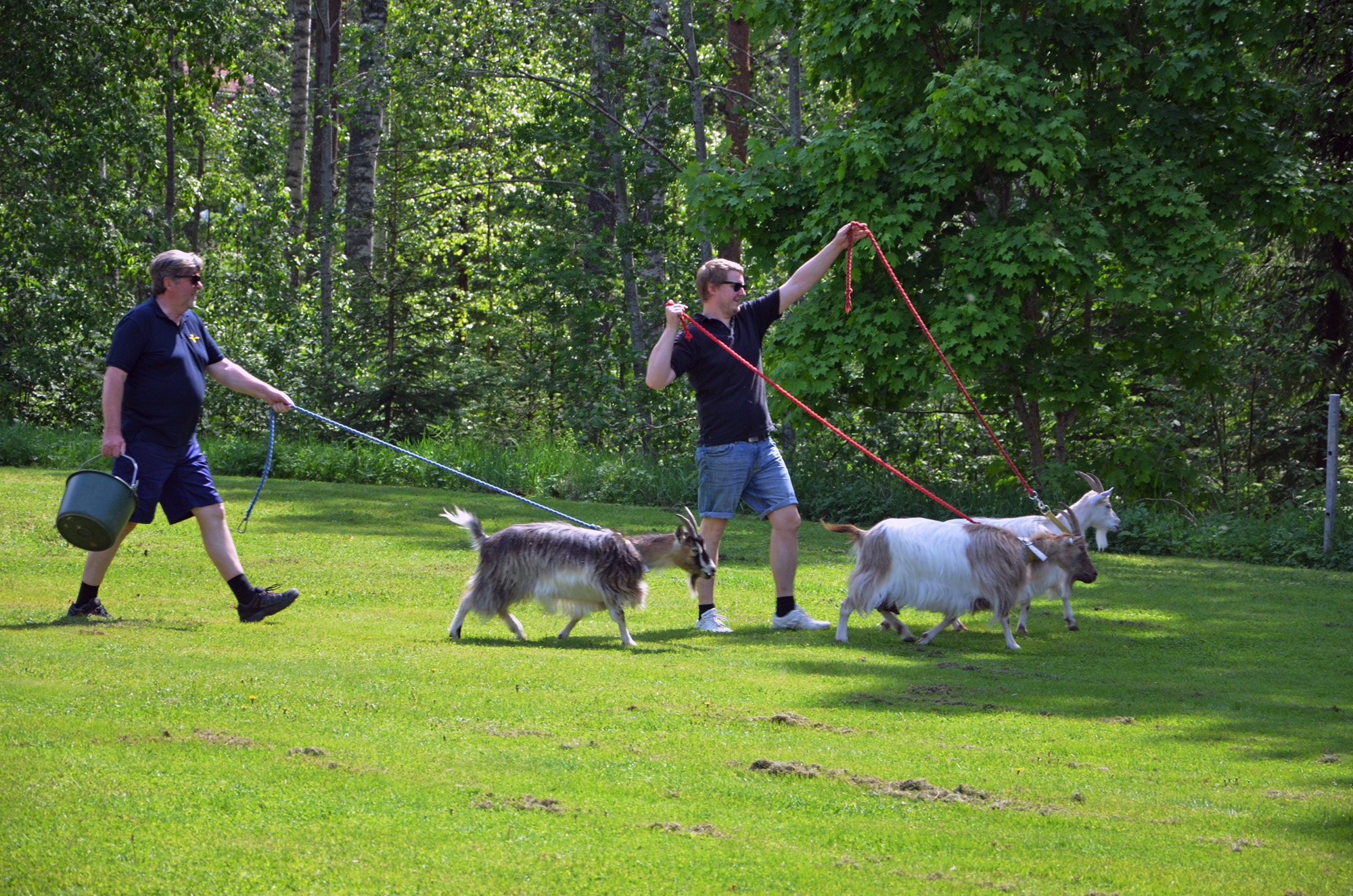 Röste.nu – Röstebilder –Nationaldagsfirande vid Dönjegården 2019