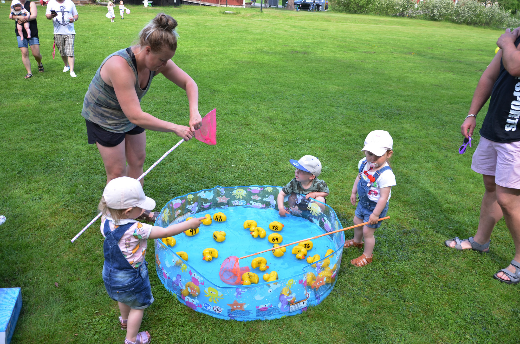 Röste.nu – Röstebilder –Nationaldagsfirande vid Dönjegården 2019