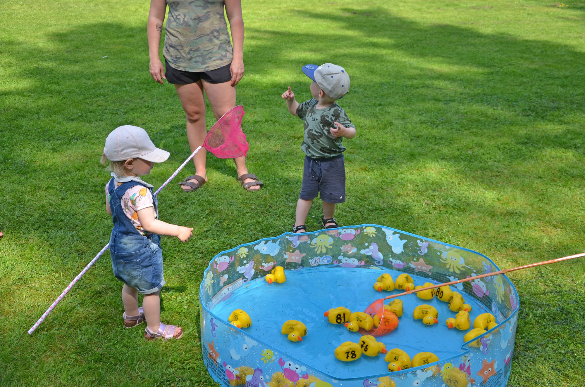 Röste.nu – Röstebilder –Nationaldagsfirande vid Dönjegården 2019