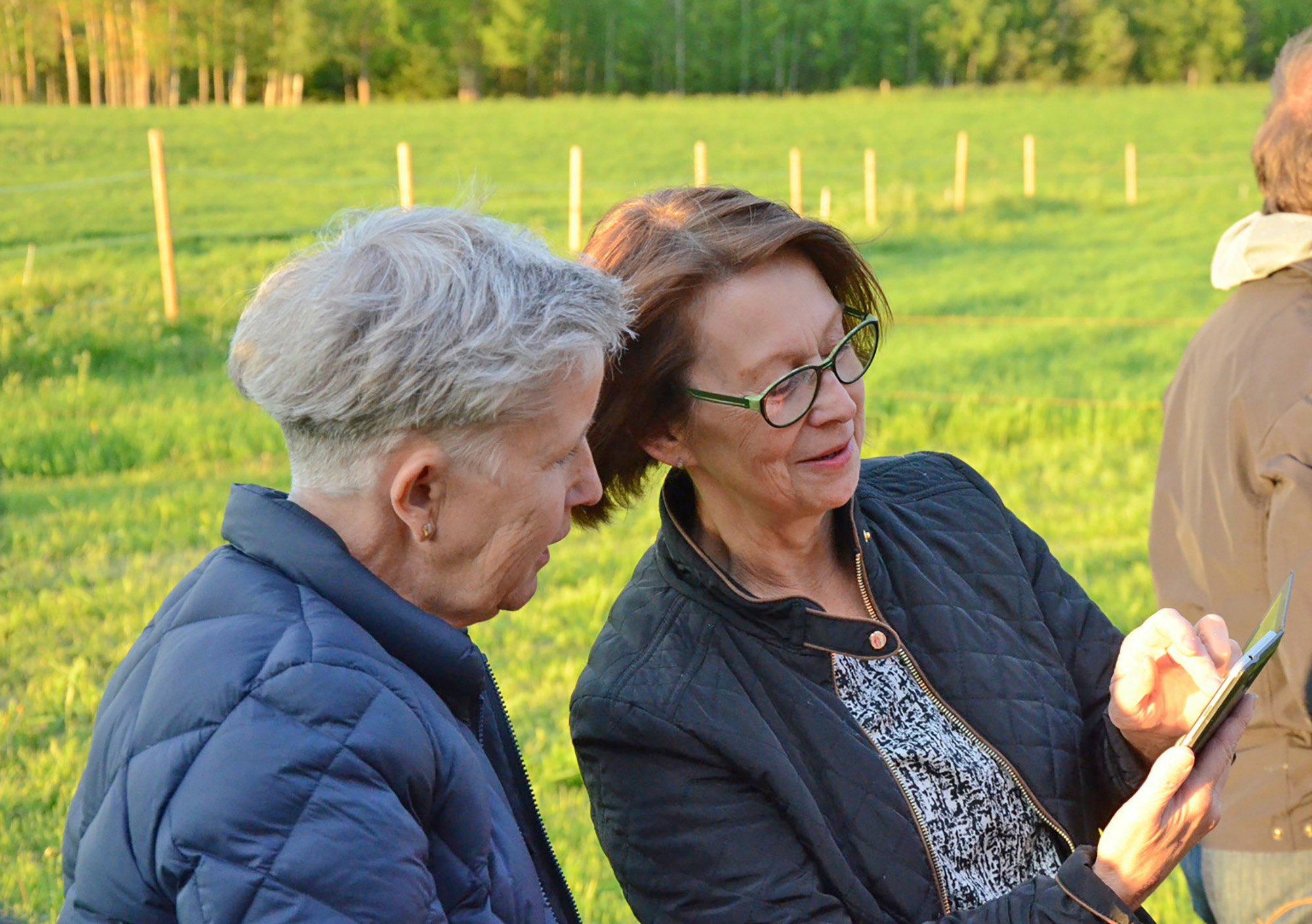 Röste.nu – Röstebilder – Nypremiär för logdans i Farmorsladan 2016