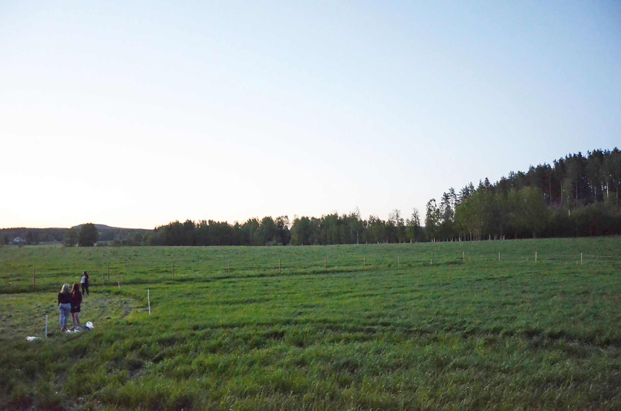 Röste.nu – Röstebilder – Nypremiär för logdans i Farmorsladan 2016
