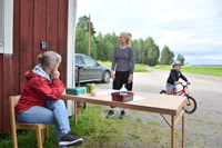 Röste.nu – Röstebilder – Premiär för gåbingo i Röste 2020 – 5 augusti