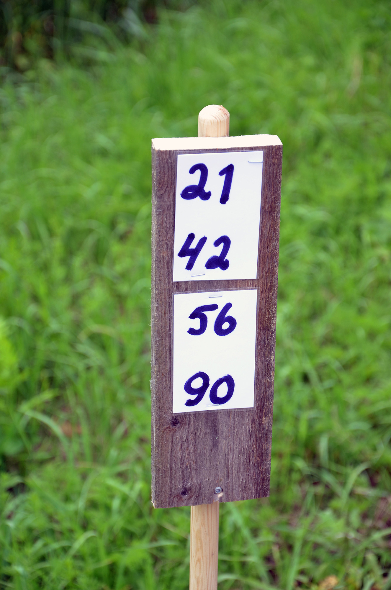 Röste.nu – Röstebilder – Premiär för gåbingo i Röste 2020 – 5 augusti