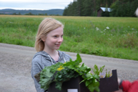 Röste.nu – Röstebilder – Premiär för gåbingo i Röste 2020 – 5 augusti