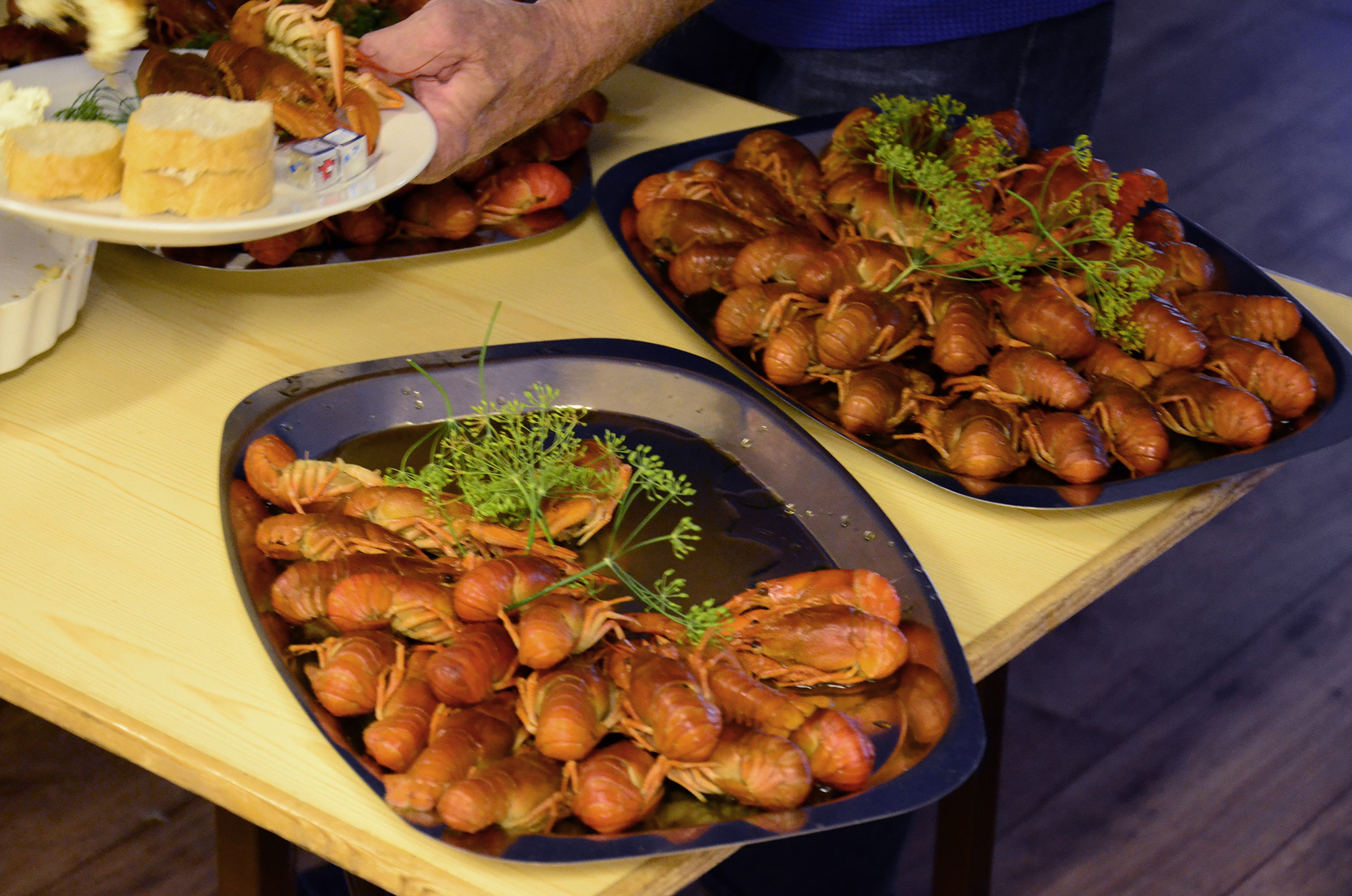 Röste.nu – Röstebilder – Premiär för kräft- och surströmmingsfest i Dönjegården 2014