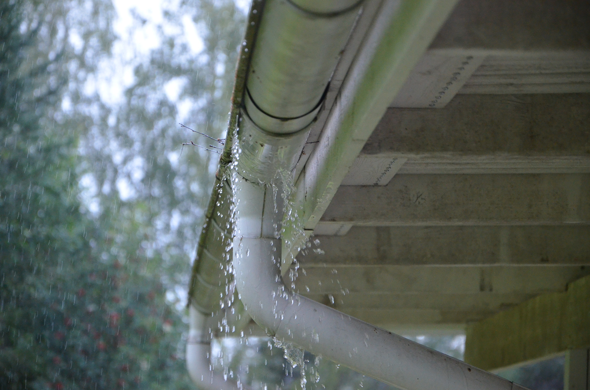 Röste.nu – Röstebilder – Premiär för tacosafton med musikquiz 2024