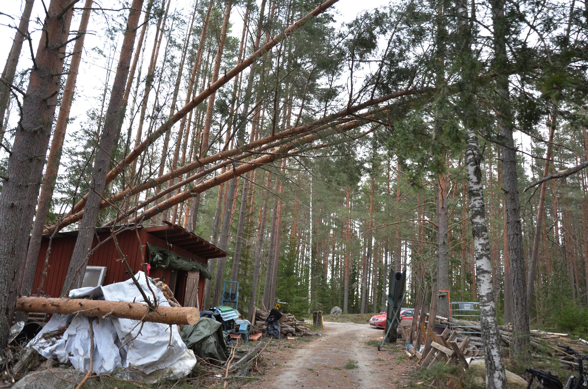 Röste.nu – Röstebilder – Så drabbades Röste av stormen Johannes 2025