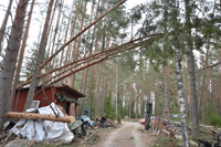 Röste.nu – Röstebilder – Så drabbades Röste av stormen Johannes 2025