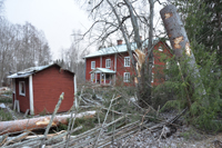 Röste.nu – Röstebilder – Så drabbades Röste av stormen Johannes 2025