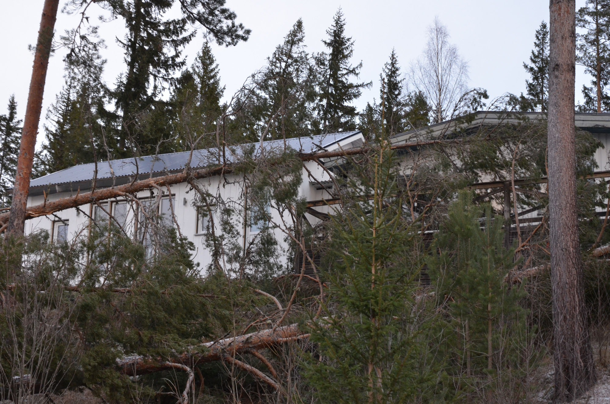 Röste.nu – Röstebilder – Så drabbades Röste av stormen Johannes 2025