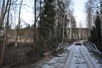 Röste.nu – Röstebilder – Så drabbades Röste av stormen Johannes 2025
