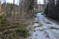 Röste.nu – Röstebilder – Så drabbades Röste av stormen Johannes 2025