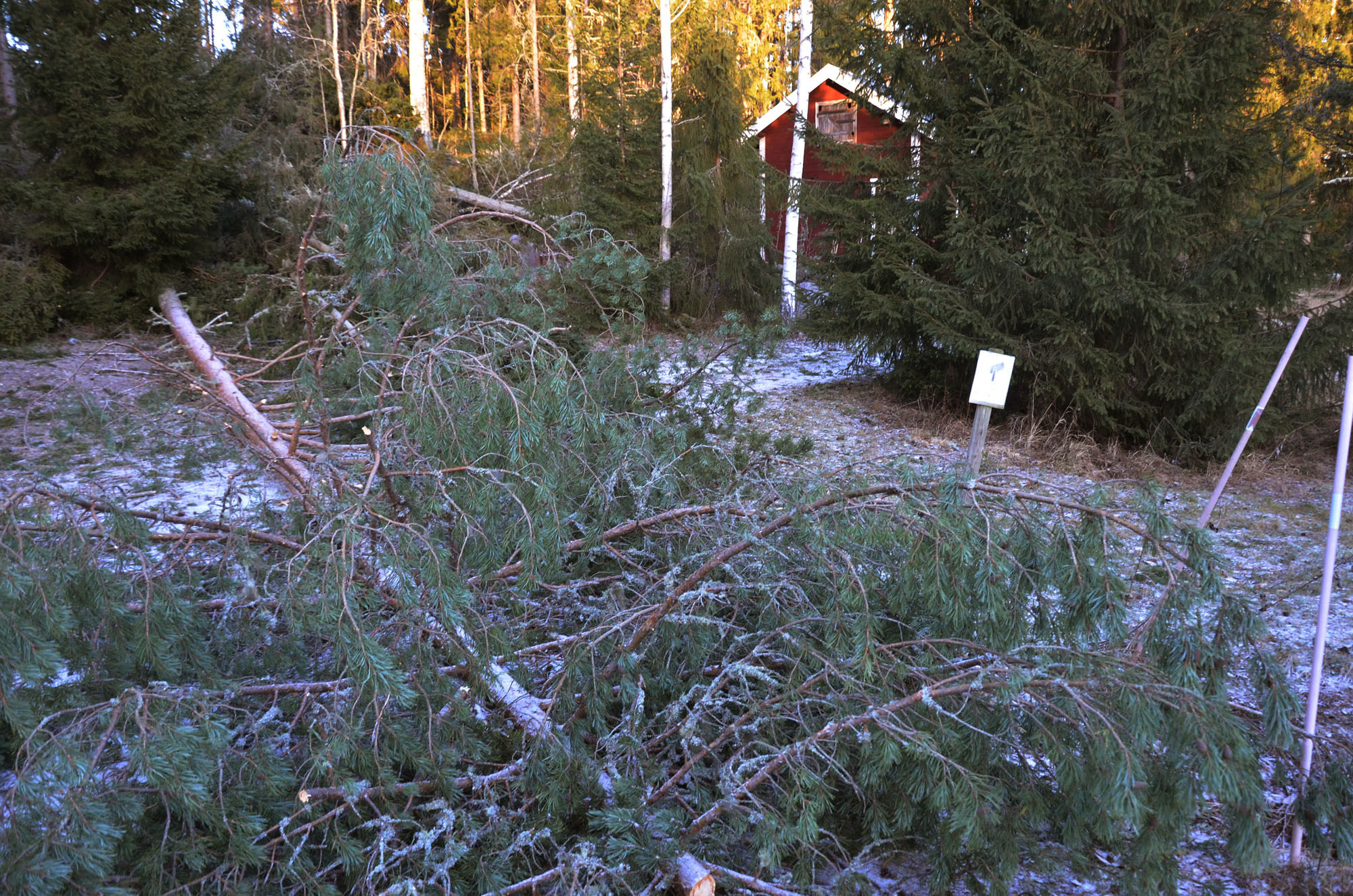 Röste.nu – Röstebilder – Så drabbades Röste av stormen Johannes 2025