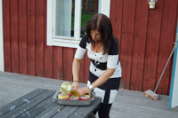 Röste.nu – Röstebilder – Surströmming, sill och korv i Dönjegården 2011