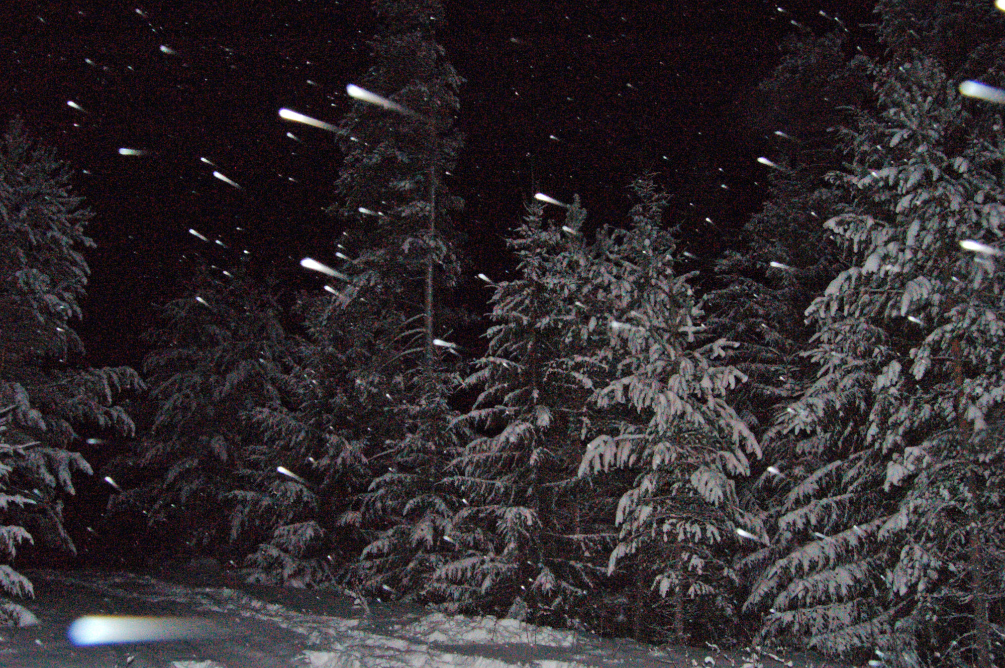 Röste.nu – Röstebilder – Barnens önskningar till tomtarna 2010