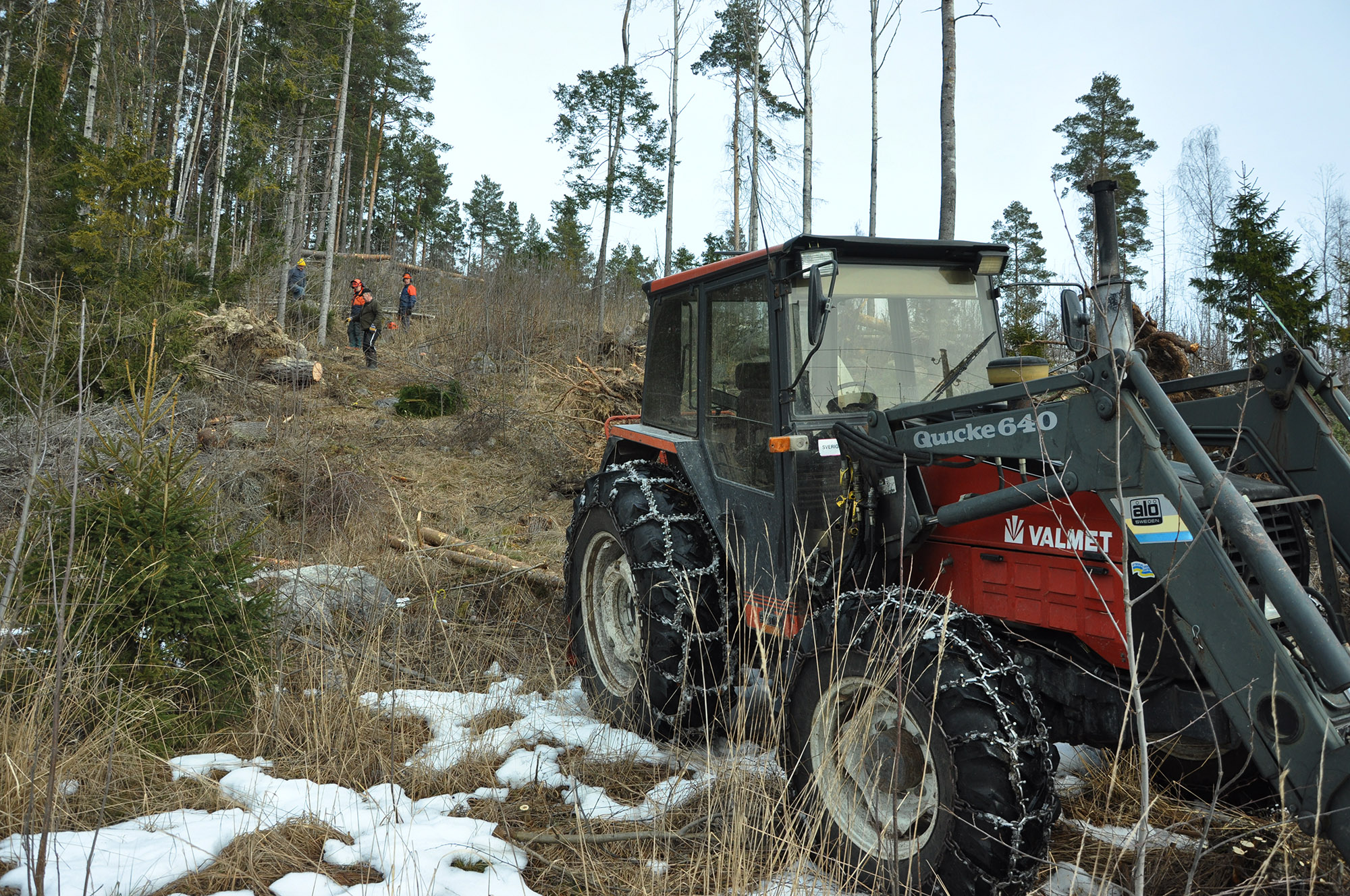 Röste.nu – Röstebilder 2012 – Uppröjning på Kalvberget efter stormen Dagmar 2011