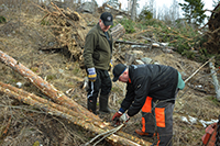 Röste.nu – Röstebilder – Uppröjning på Kalvberget 2012 efter stormen Dagmar 2011