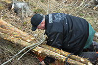 Röste.nu – Röstebilder – Uppröjning på Kalvberget 2012 efter stormen Dagmar 2011