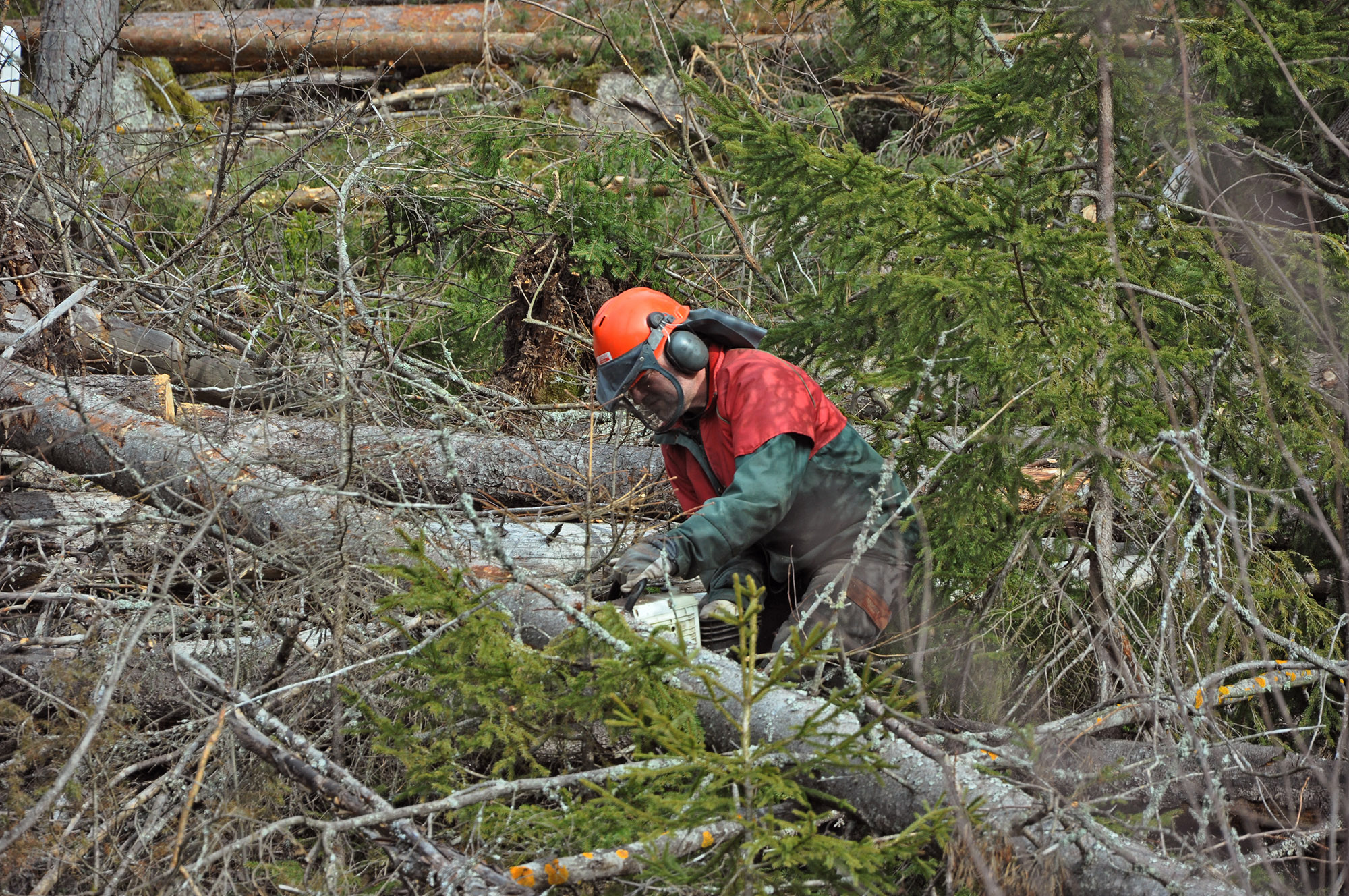 Röste.nu – Röstebilder 2012 – Uppröjning på Kalvberget efter stormen Dagmar 2011