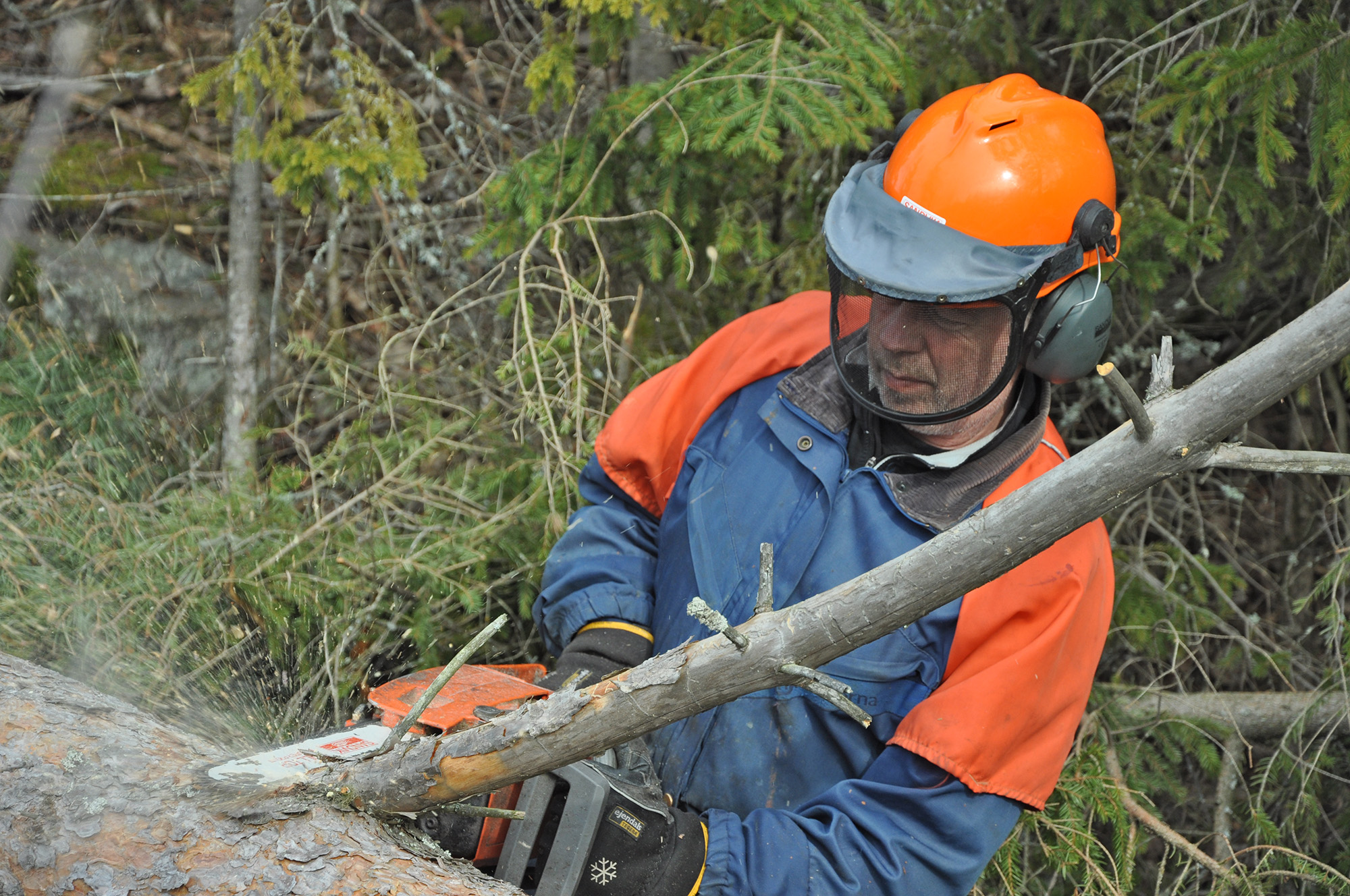 Röste.nu – Röstebilder 2012 – Uppröjning på Kalvberget efter stormen Dagmar 2011