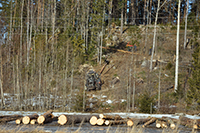 Röste.nu – Röstebilder – Uppröjning på Kalvberget 2012 efter stormen Dagmar 2011