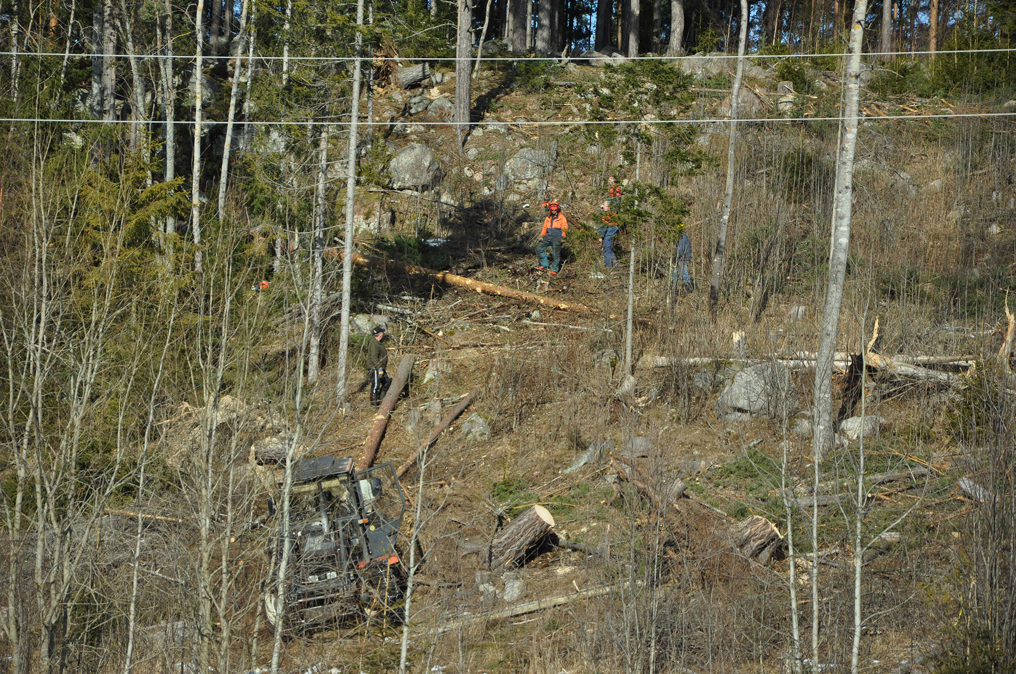 Röste.nu – Röstebilder 2012 – Uppröjning på Kalvberget efter stormen Dagmar 2011