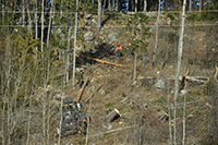 Röste.nu – Röstebilder – Uppröjning på Kalvberget 2012 efter stormen Dagmar 2011