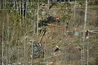 Röste.nu – Röstebilder – Uppröjning på Kalvberget 2012 efter stormen Dagmar 2011