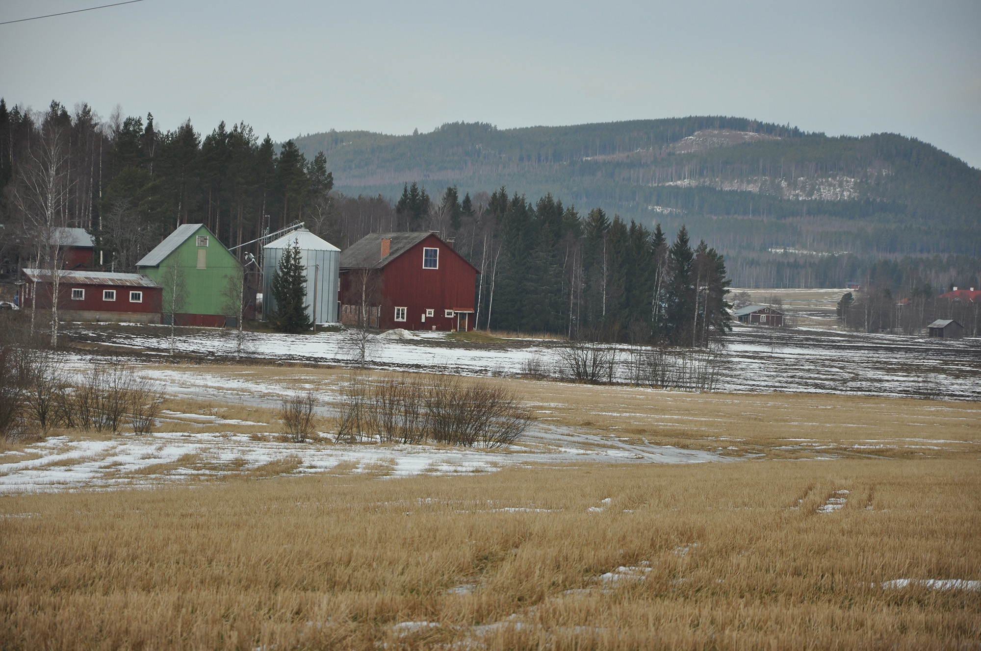 Röste.nu – Röstebilder – Uppröjning på Kalvberget efter stormen Dagmar 2011