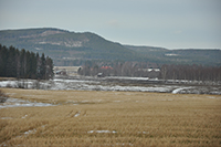 Röste.nu – Röstebilder – Uppröjning på Kalvberget 2012 efter stormen Dagmar 2011
