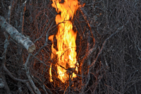 Röste.nu – Röstebilder – Valborgsfirande vid Dönjegården 2024