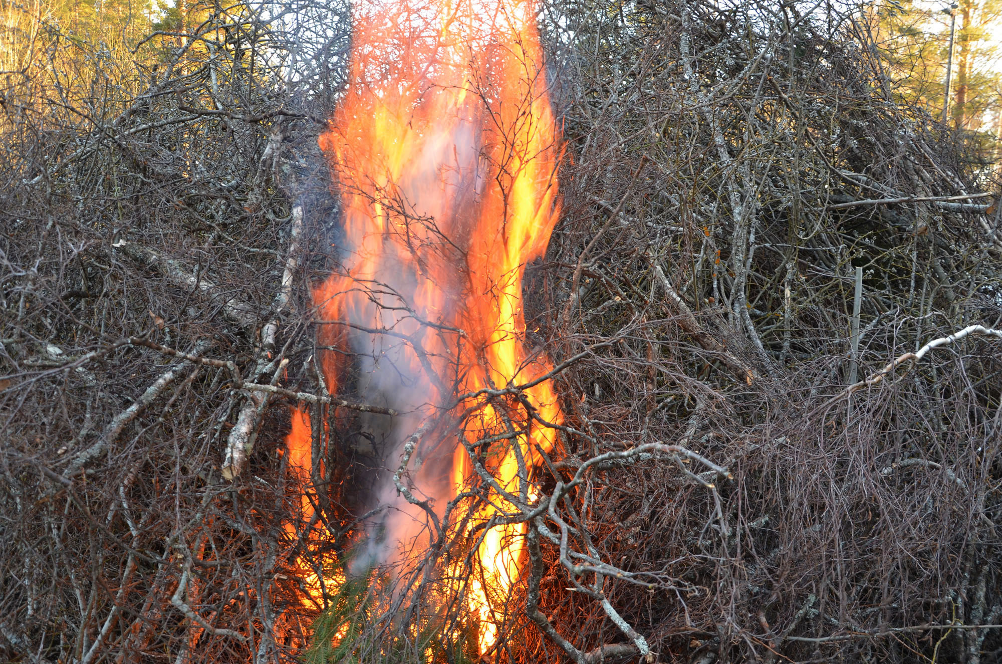 Röste.nu – Röstebilder – Valborgsfirande vid Dönjegården 2024