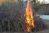 Röste.nu – Röstebilder – Valborgsfirande vid Dönjegården 2024