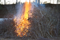 Röste.nu – Röstebilder – Valborgsfirande vid Dönjegården 2024