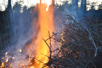 Röste.nu – Röstebilder – Valborgsfirande vid Dönjegården 2024