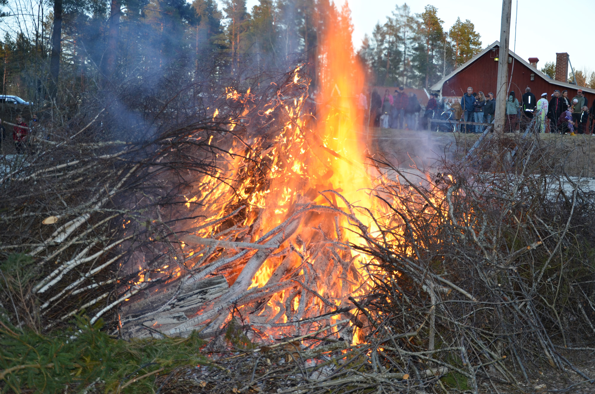 Röste.nu – Röstebilder – Valborgsfirande vid Dönjegården 2024
