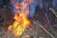 Röste.nu – Röstebilder – Valborgsfirande vid Dönjegården 2024